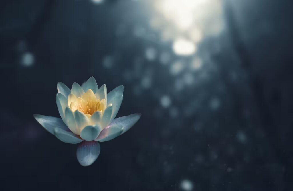 Image of a flower growing, symbolizing growth that comes from therapy.